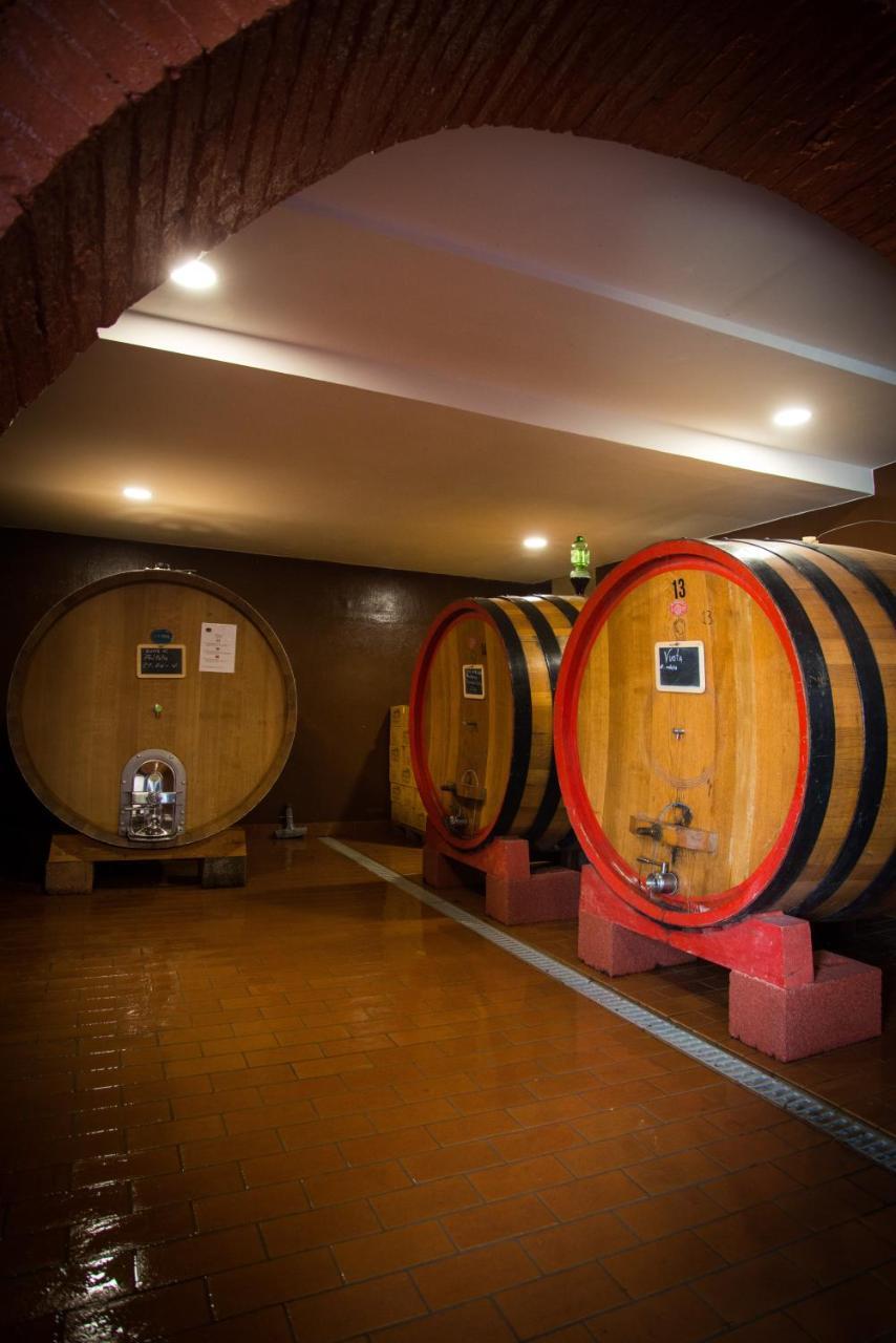 Luce Di Vino Villa Montalcino Exterior photo
